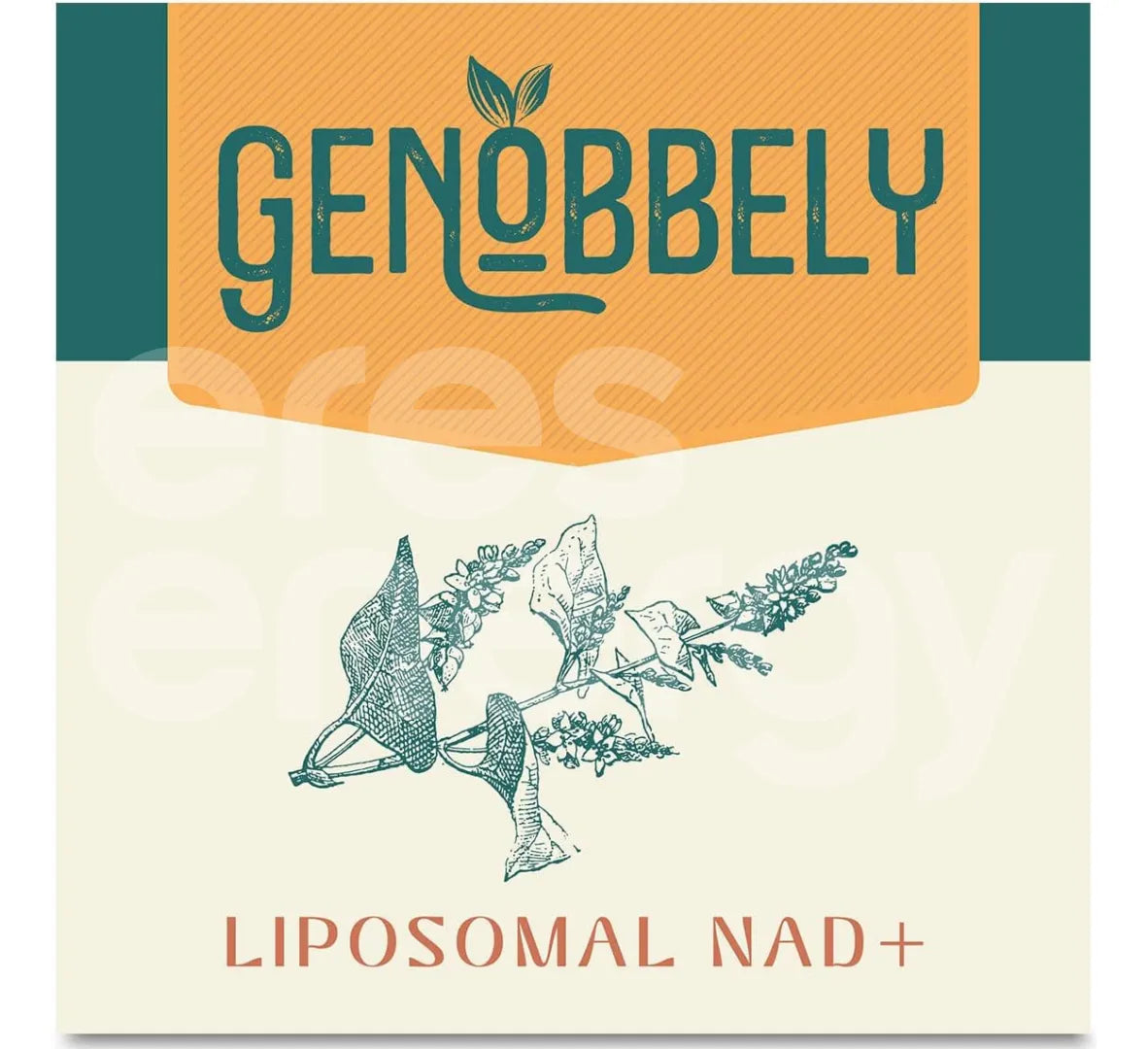 NAD+ Liposomal GENOBBELY