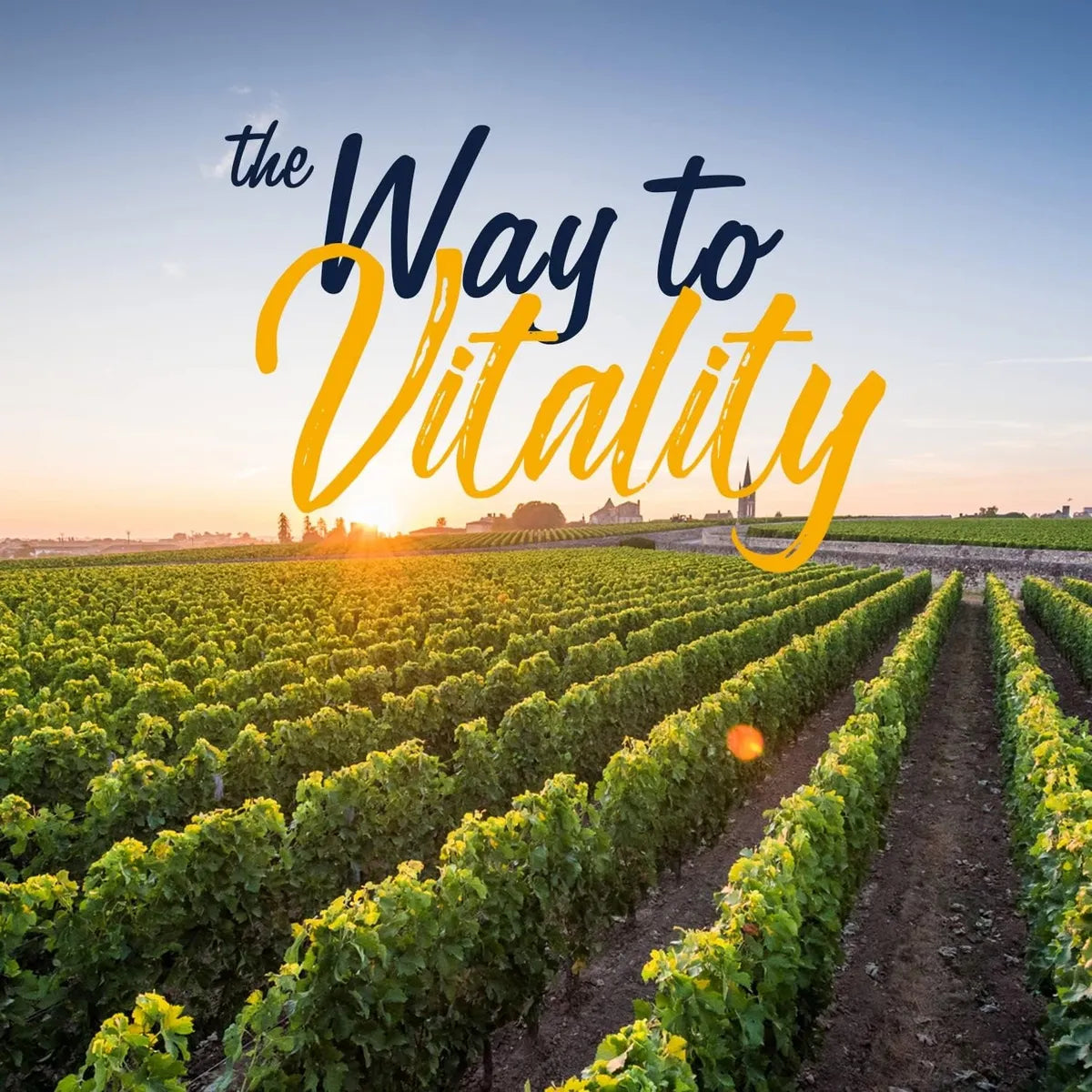 Complejo de Magnesio de Vitalitown – 120 cápsulas vegetales