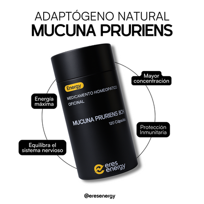 Kit Triple Mucuna Pruriens – Eres Energy 🌱