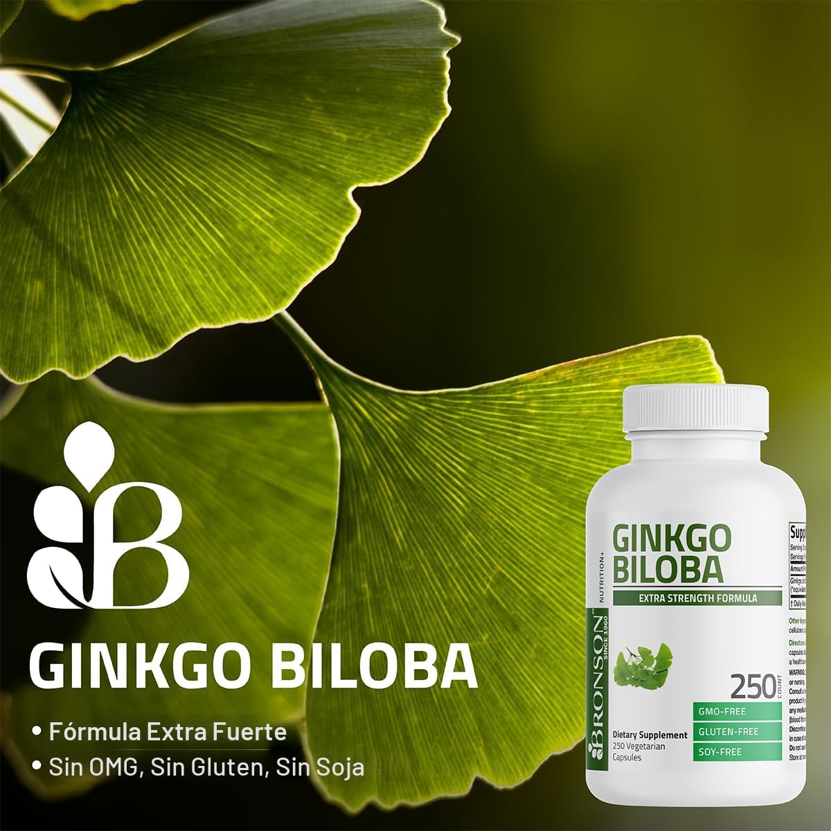 Ginkgo Biloba Extra Strength Bronson