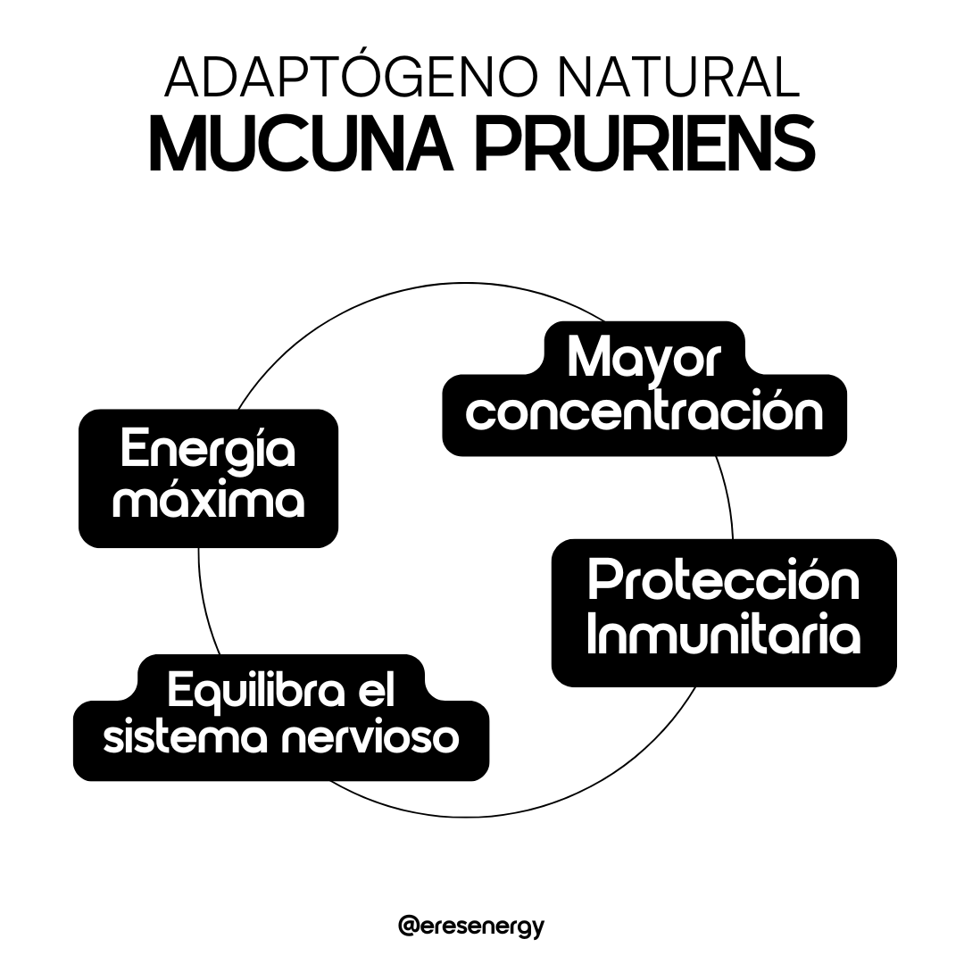 Kit Doble Mucuna Pruriens – Eres Energy 🌱