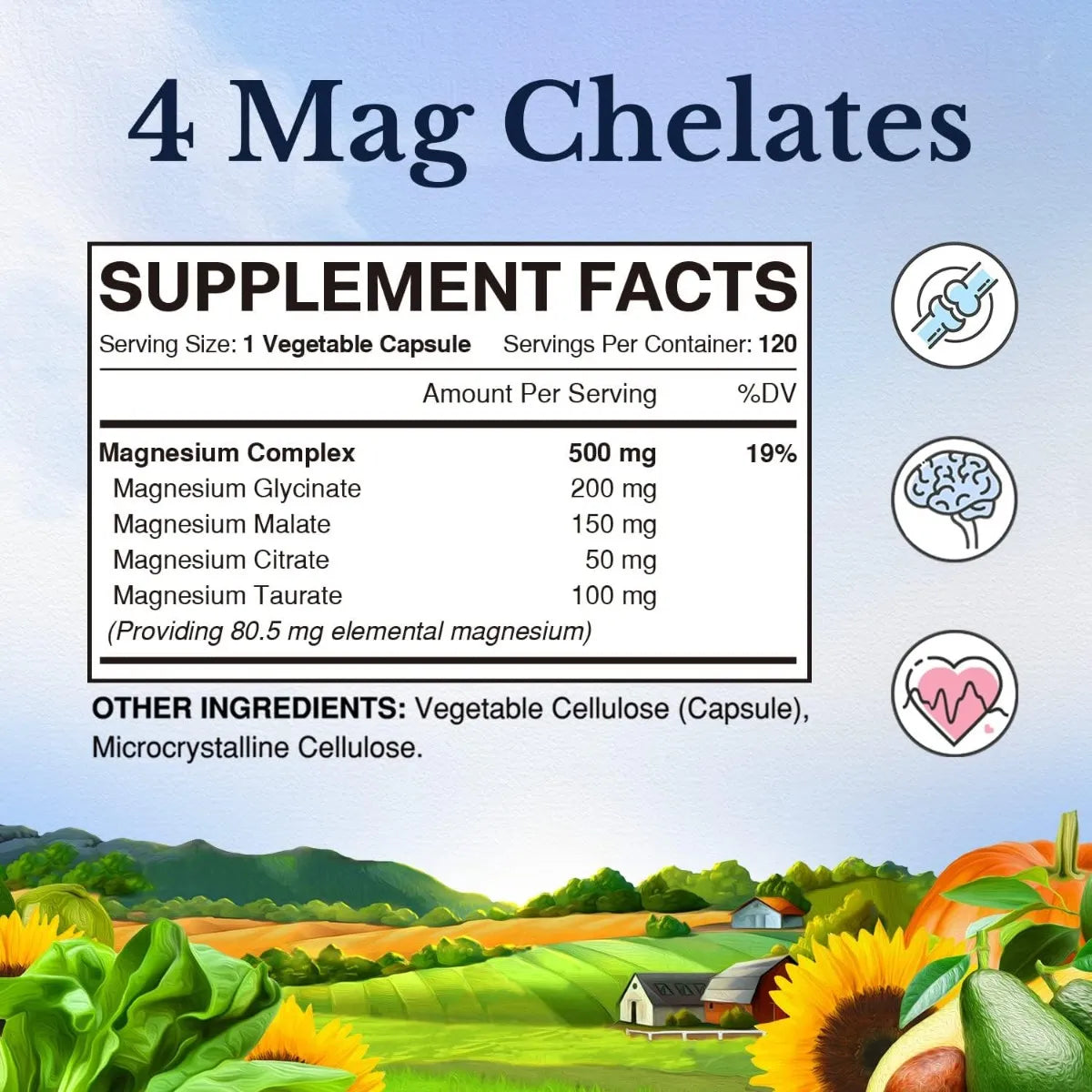 Complejo de Magnesio de Vitalitown – 120 cápsulas vegetales