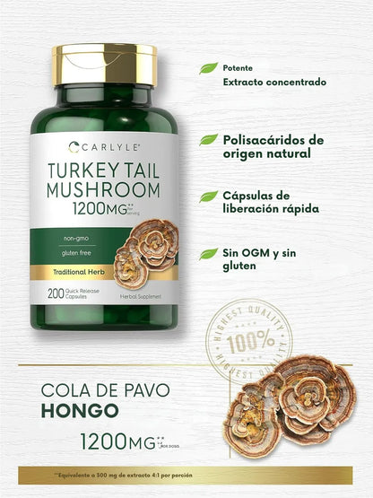 Cápsulas de hongos cola de pavo