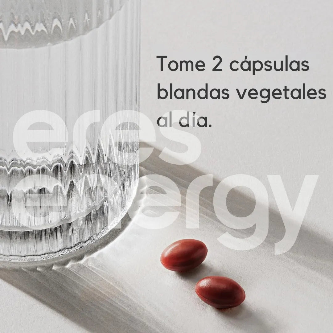 Complejo de Vitamina B Vegano – Sport Research