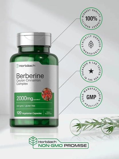 berberina 1200 mg 120 cápsulas veganas pack 2 metabolismo