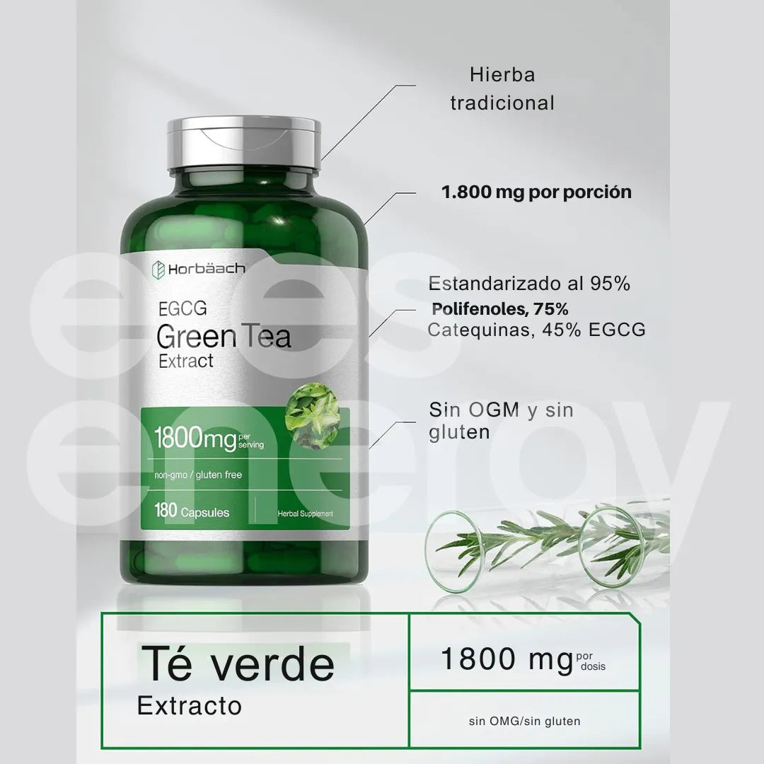 Extracto de Té Verde 1800 mg – Horbäach | 180 Cápsulas