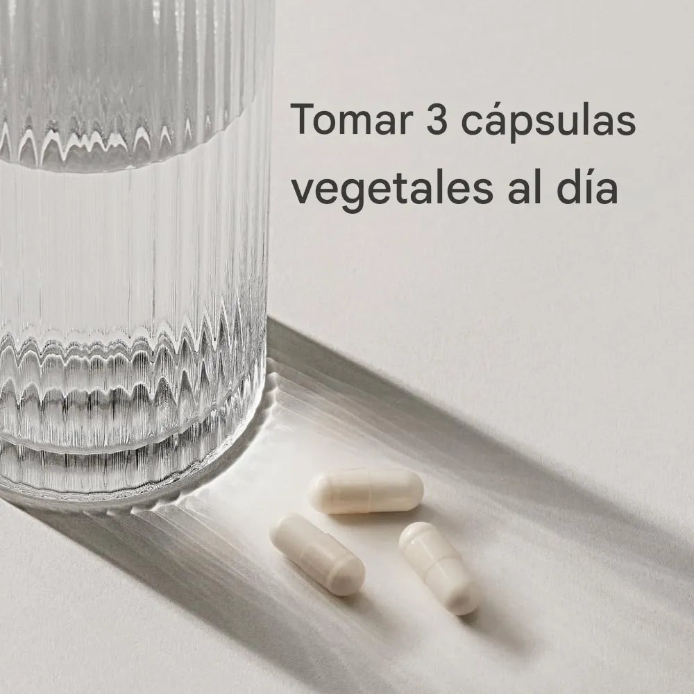 Magtein – Cápsulas de L-Treonato de Magnesio | Sport Research