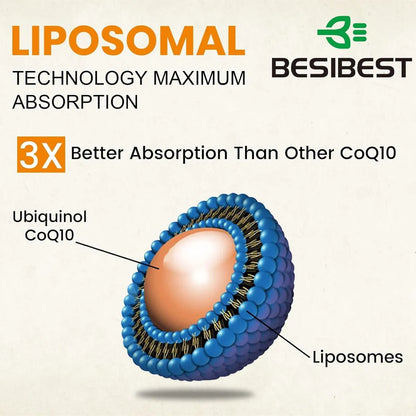 Coenzima Q10 Liposomal 1000 Mg