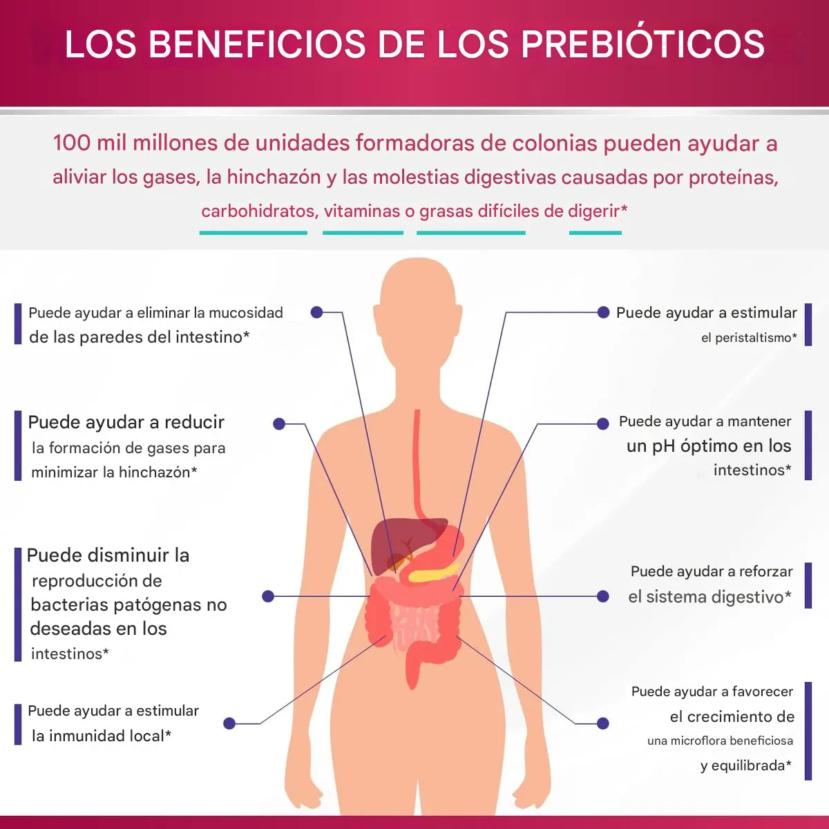 Probióticos Crudos Premium para Mujeres – 100 mil millones CFU