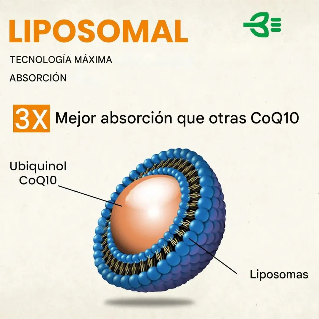 Coenzima q10 1000 mg liposomal pack 2 apoyo energético