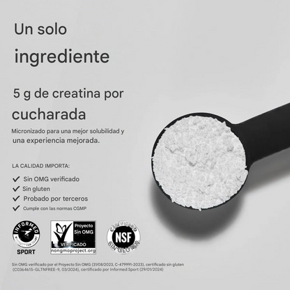 Creatina Monohidrato 500 mg – Sport Research